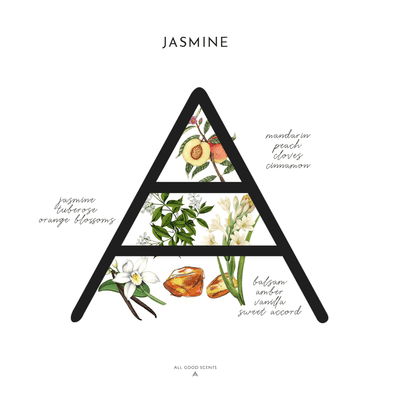 Jasmine