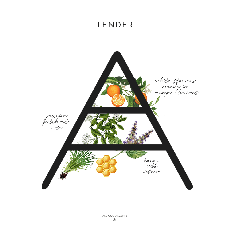 Tender