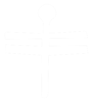 Logo mississippi dragonfly